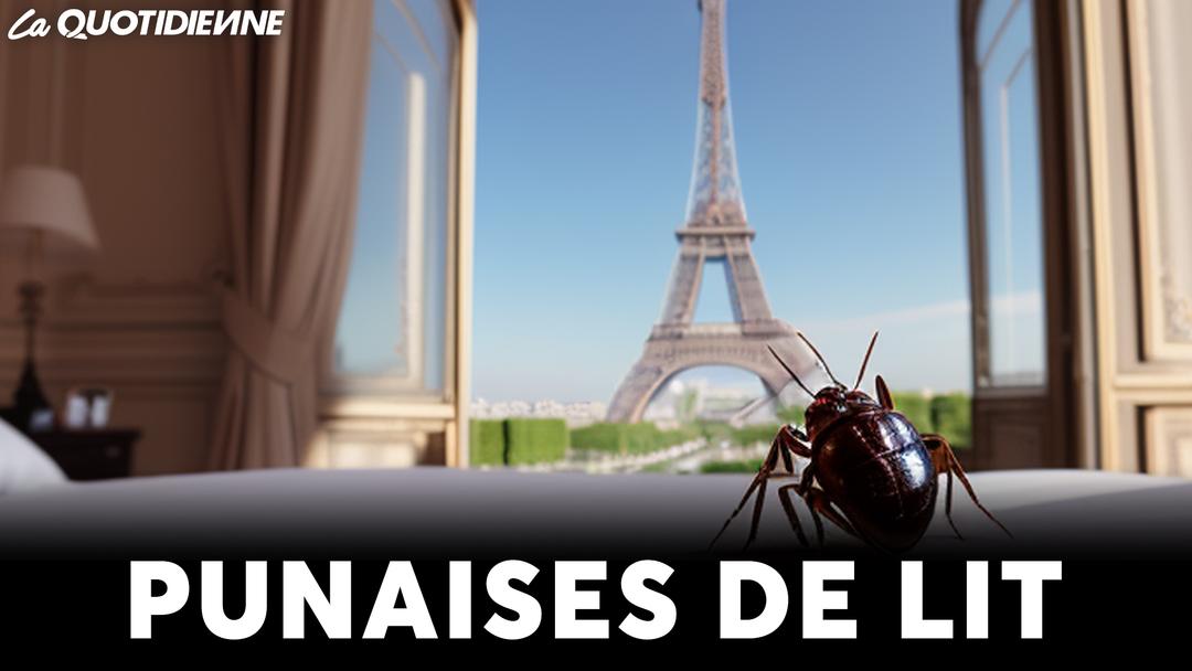 Épisode 787 : punaises de lit