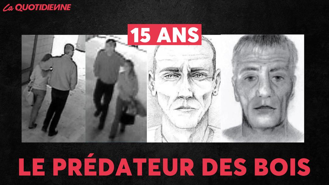 Épisode 617 : Le prédateur des bois