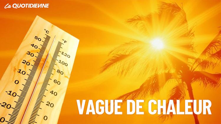Épisode 270 : Vague de chaleur