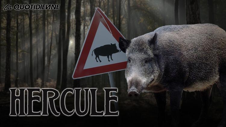Épisode 194 : Hercule