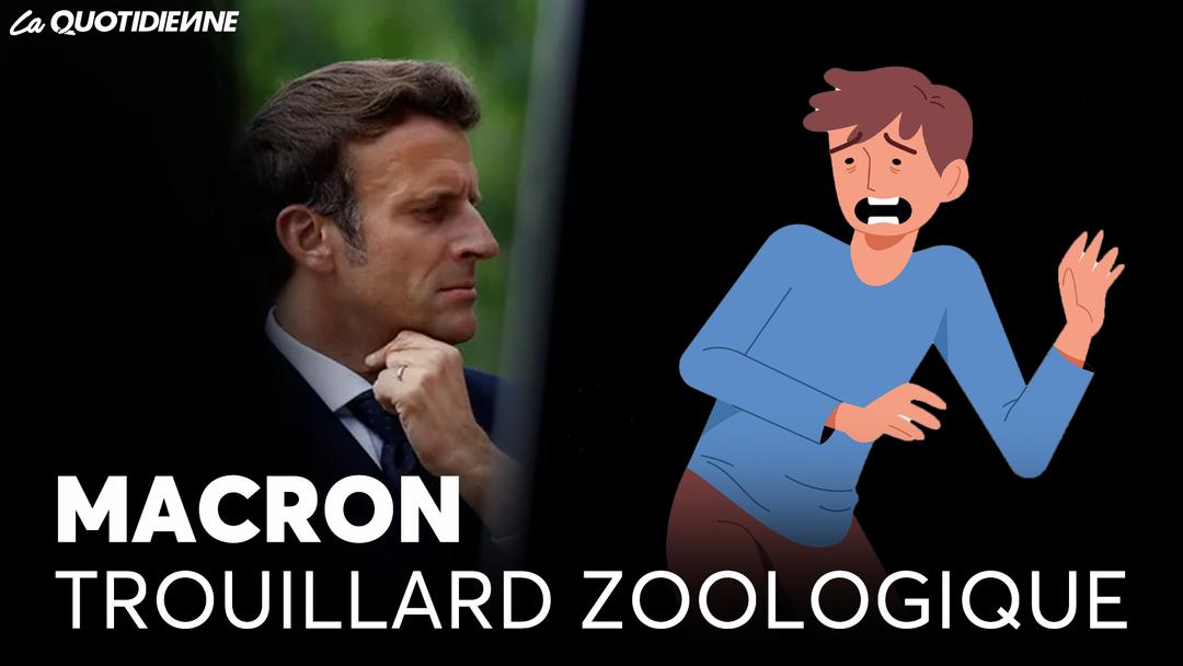 Épisode 833 : Macron trouillard zoologique