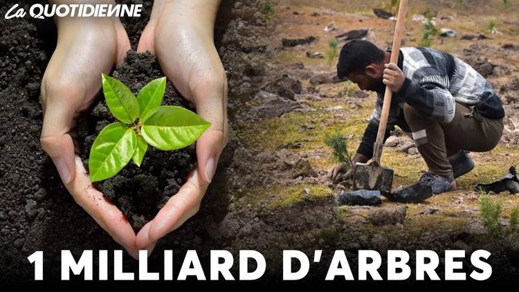 Épisode 751 : 1 milliard d’arbres