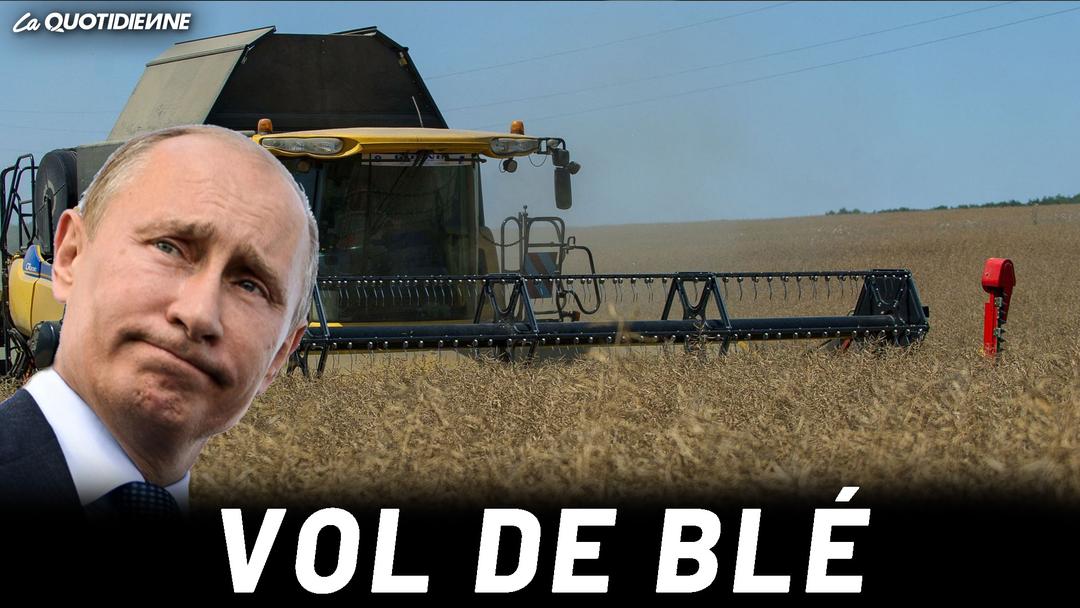 Épisode 486 : Vol de blé