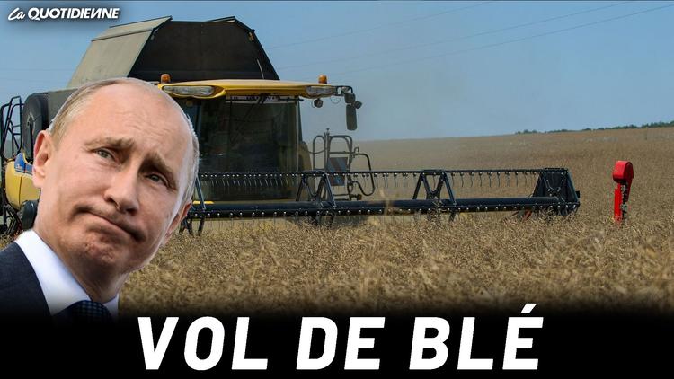 Épisode 486 : Vol de blé