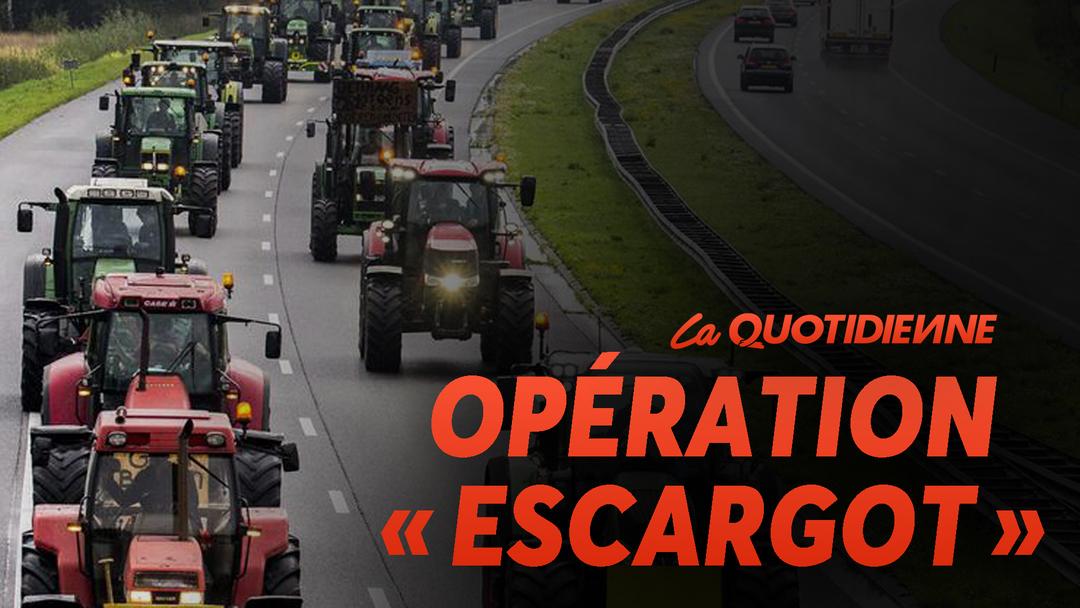 Épisode 431 : Opération "Escargot"