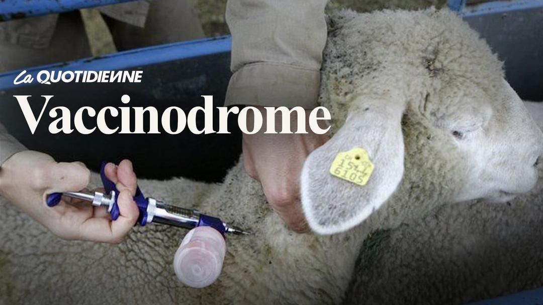 Épisode 207 : Vaccinodrome