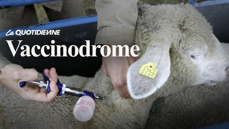 Épisode 207 : Vaccinodrome