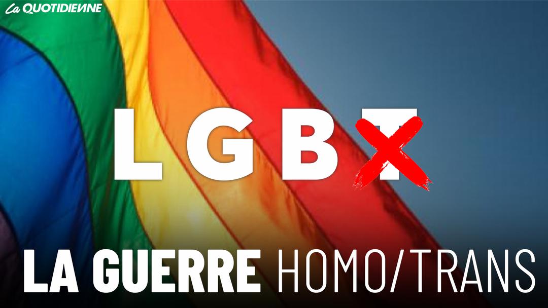 Épisode 546 : La guerre Homo/Trans