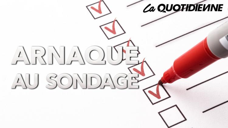 Épisode 14 : Arnaque au sondage