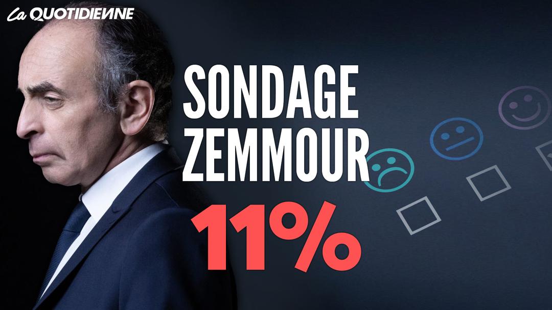 Épisode 318 : Sondage Zemmour 11%