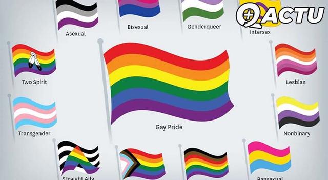 Le président d'un forum LGBT démissionne à cause de la mouvance woke