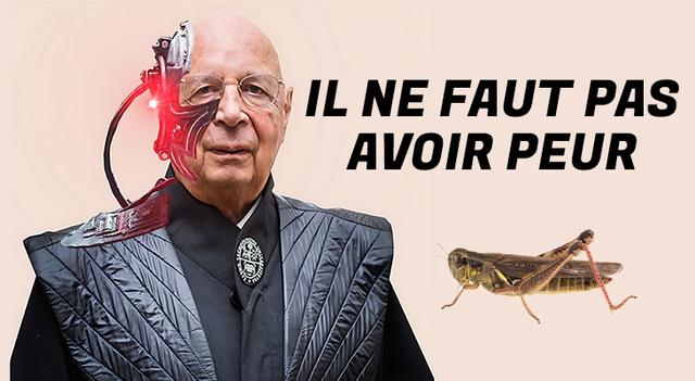 Nouvelle-Zélande : une taxe sur les pets de vache
