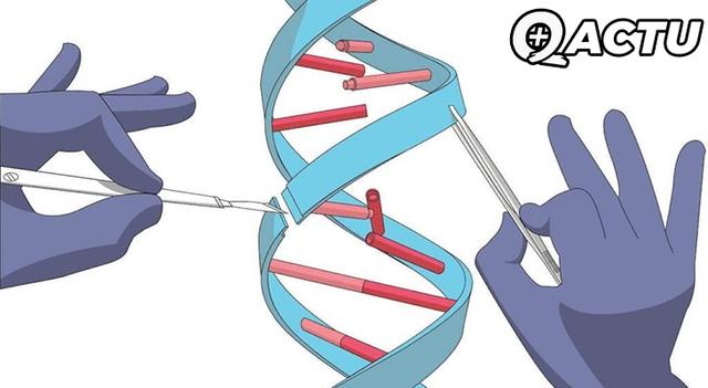Le COVID vient d'un laboratoire ?