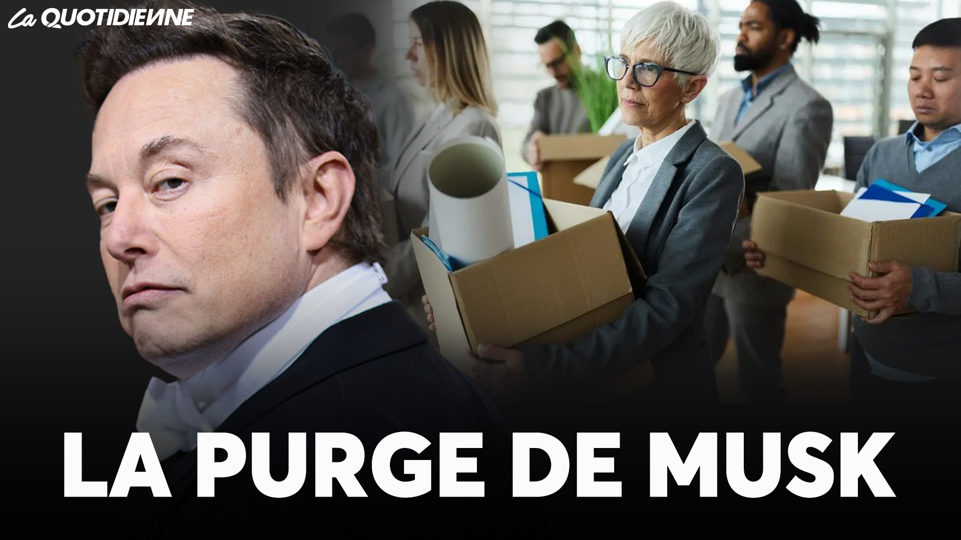 EPISODE 916 : La purge de Musk