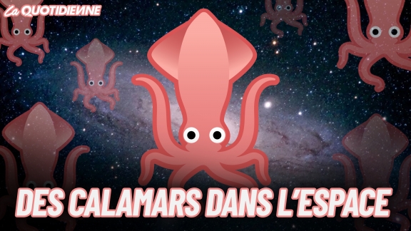 Épisode 255 : Des calamars dans l’espace