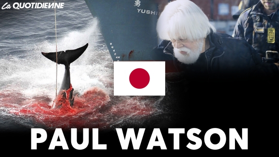 Épisode 859 : Paul watson