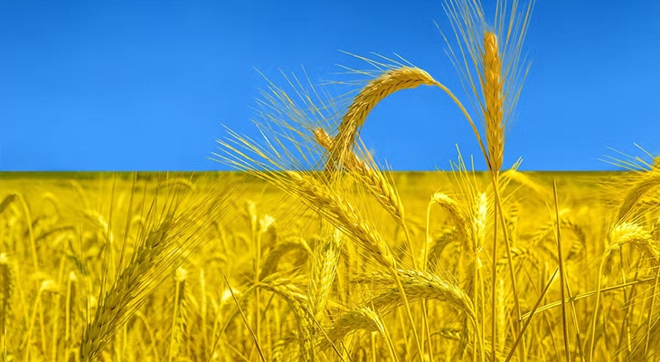Céréales ukrainiennes, les mesures de l'UE se retourne contre ses agriculteurs ?